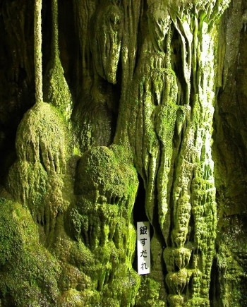 約30の奇石・怪石がある洞内。炭酸カルシウムを含んだしたたり落ちる水は積み重なり再び石を作ります