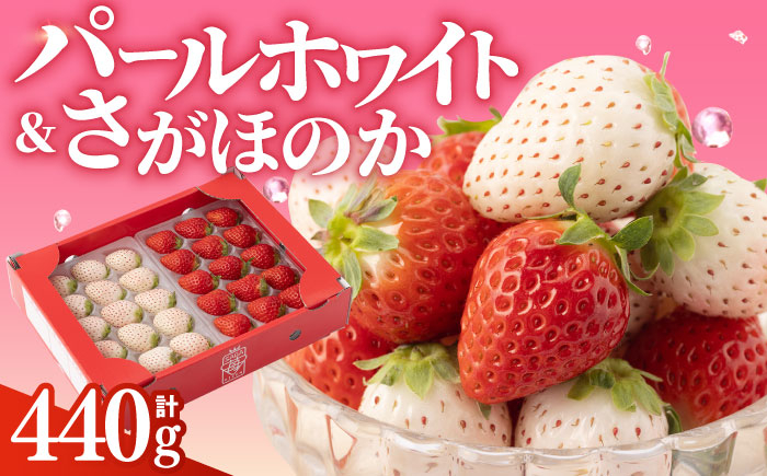 希少な白いちごとさがほのかを食べ比べ！