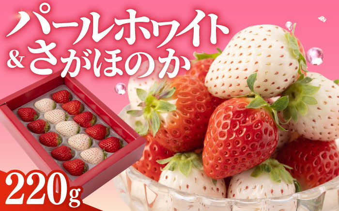 少量パックがうれしい！食べ比べ！