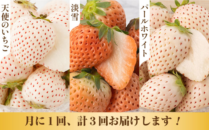 人気の白いちご3種を堪能！