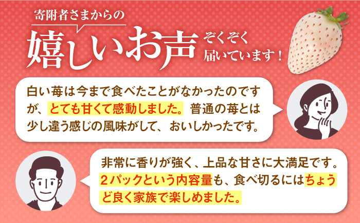 希少な白いちご、さっぱりとした甘い味わい!