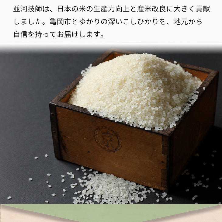 【定期便】京都丹波米こしひかり定期便20kg(5kg×4回)※精米したてをお届け