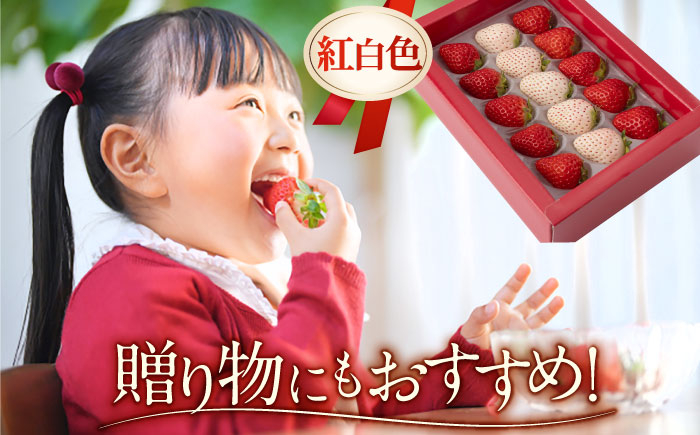 少量パックがうれしい！食べ比べ！