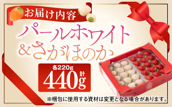 希少な白いちごとさがほのかを食べ比べ！