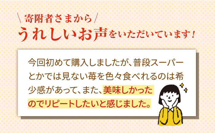 希少な白いちごを中心とした食べ比べセット!