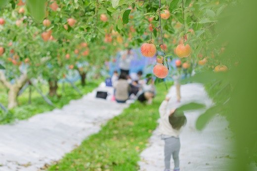 原料となっているリンゴは島根県飯南町産100％。