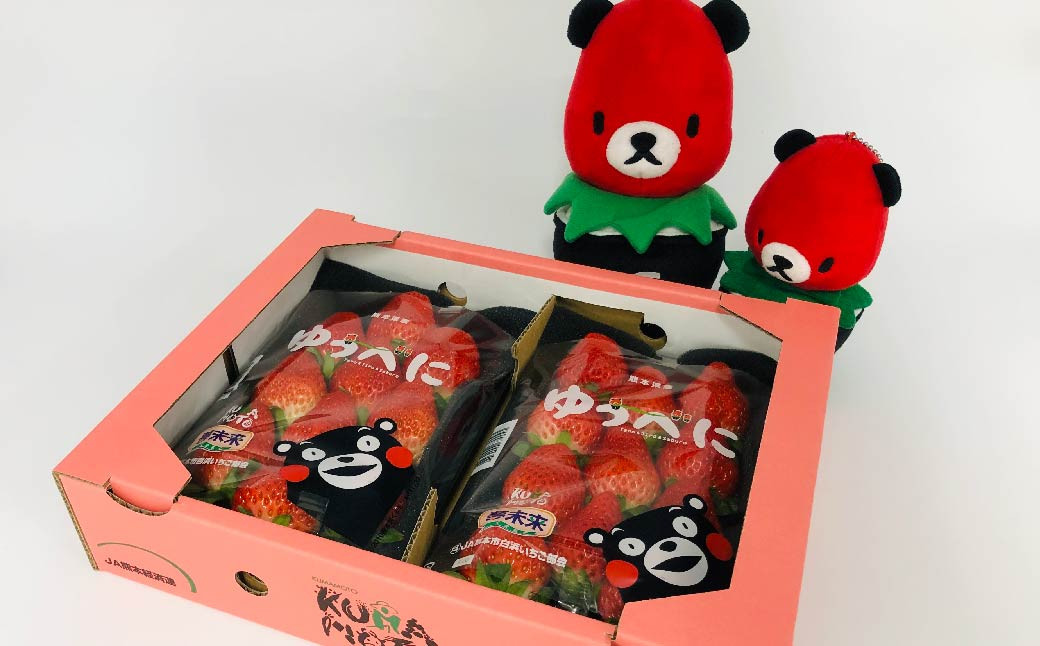ゆうべに ( いちご ) 250g × 10パック