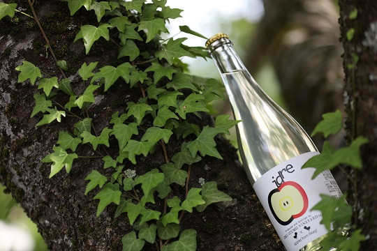 良質なワインが人気の奥出雲葡萄園が手掛ける、りんごのシードルワインです。