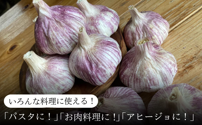 紫 にんにく 1kg 栽培期間中 農薬不使用 ニンニク