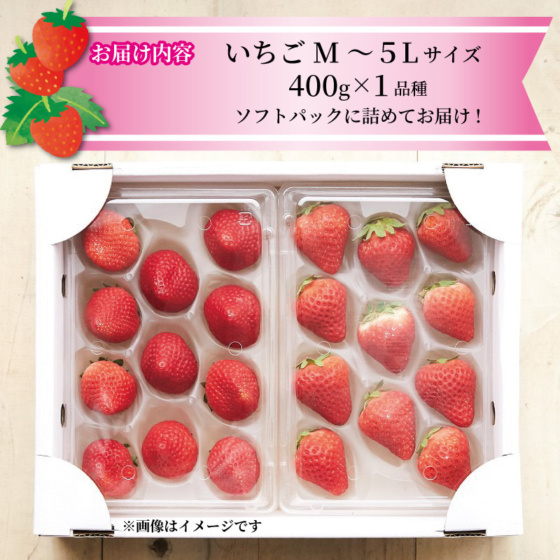 画像はイメージです