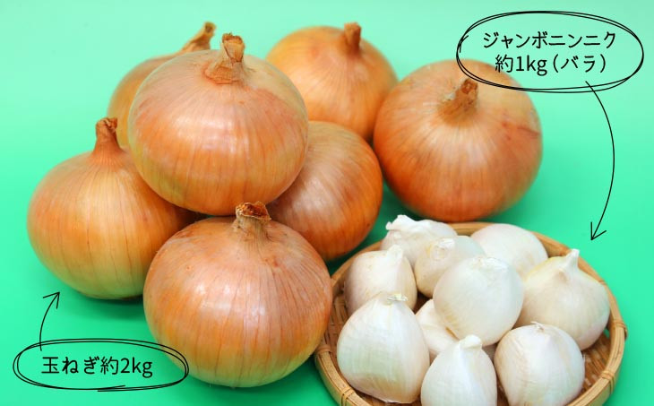 ジャンボニンニク（バラ）・玉ねぎセット3kg