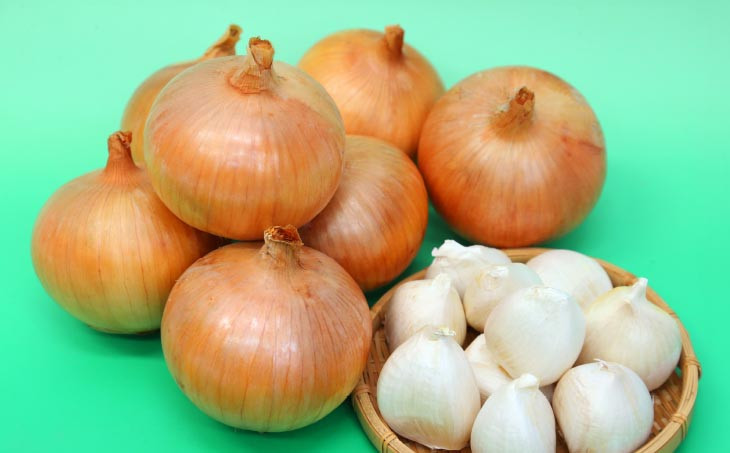 ジャンボニンニク（バラ）・玉ねぎセット5kg