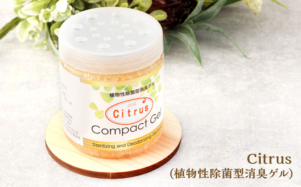 Nen-Rin 除菌消臭ギフトセット