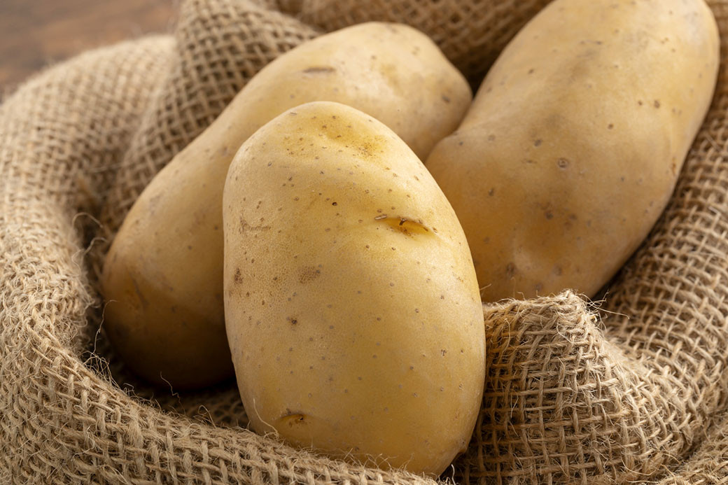 じゃがいも（メークイン） 約10kg