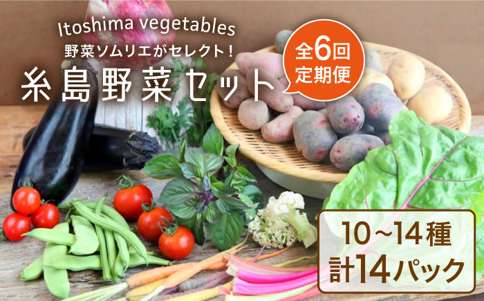 野菜 やさい 詰め合わせ セット 旬 イタリア オーガニック 根菜 果菜