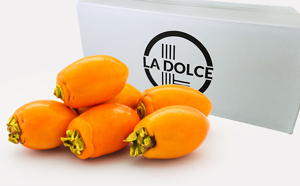 幸田町産 低温熟成筆柿 筆柿 「KAKI KAKI Premium」 1kg 【1月中旬発送予定】