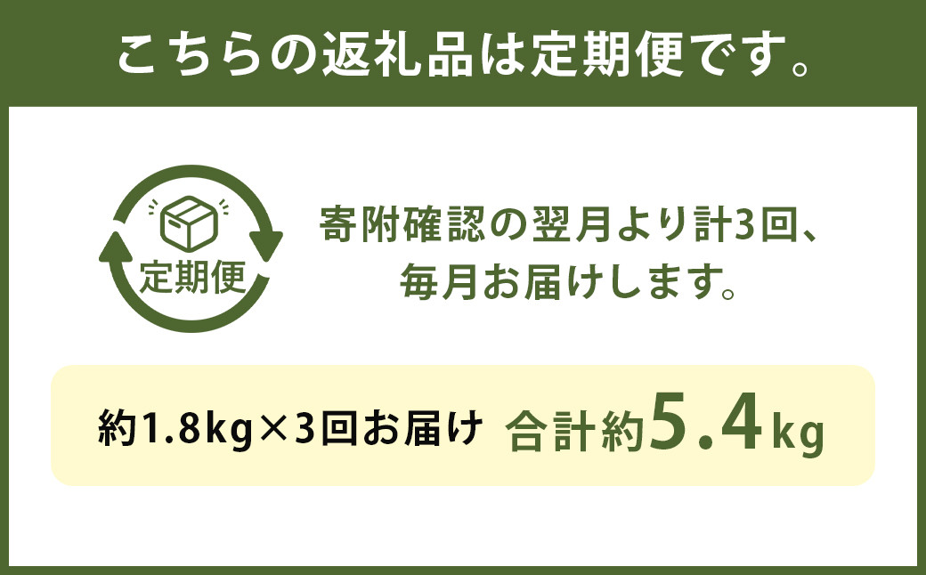 【3ヶ月定期便】くまもと黒毛和牛サーロインステーキブロック 約1.8kg 計約5.4㎏ ステーキ 肉