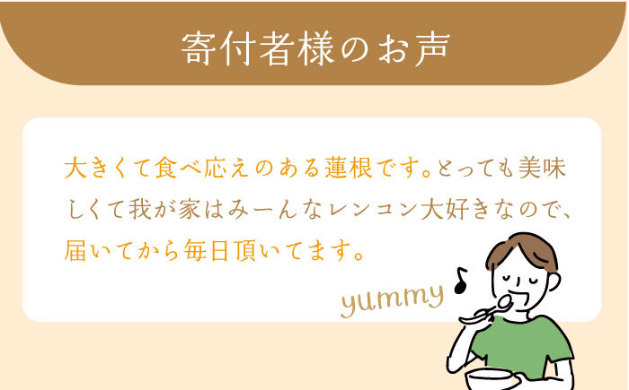 ミシュランシェフも認めた！田島屋のれんこんを年末にお届け！