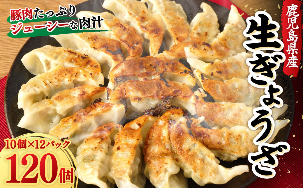 鹿児島 生ぎょうざ 120個セット(10個×12パック) 餃子のたれ付き