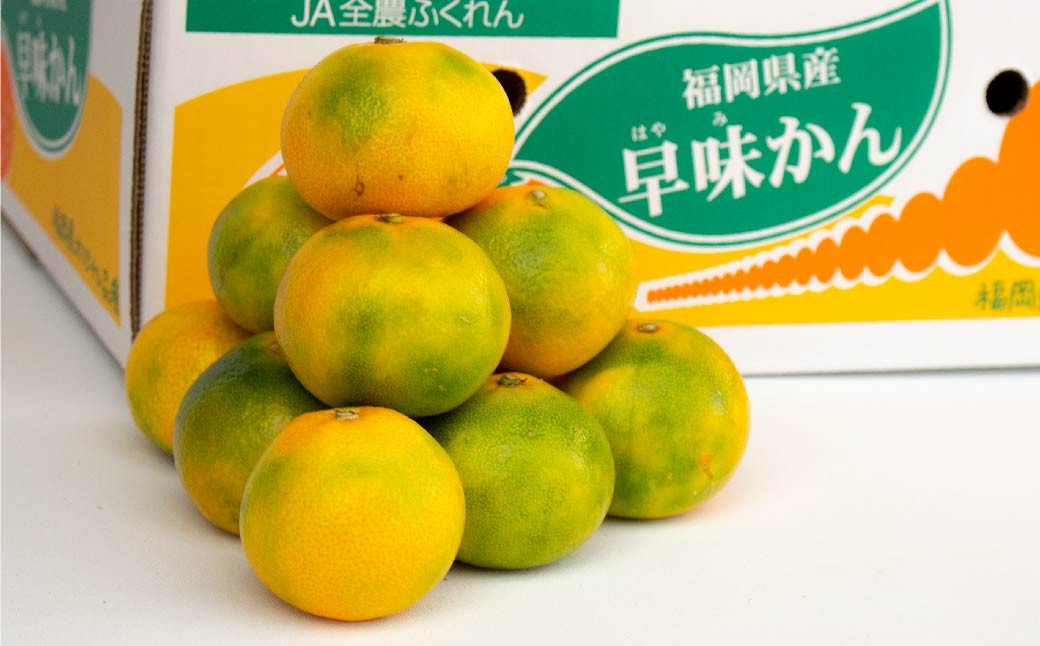 福岡県産 極早生みかん・早味かん 約4kg 果物 くだもの フルーツ 柑橘 かんきつ 