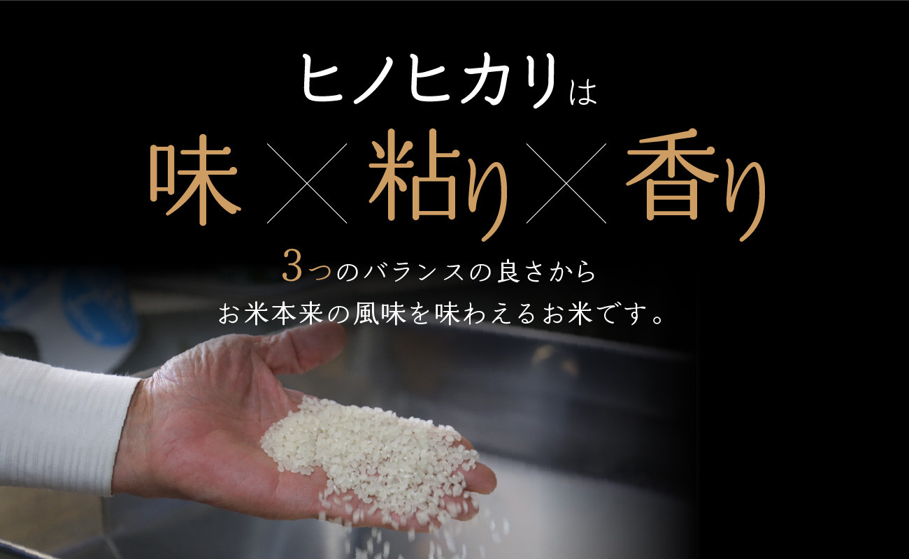 京都府木津川市 お米 10kg 毎日の健康に(特別栽培米)