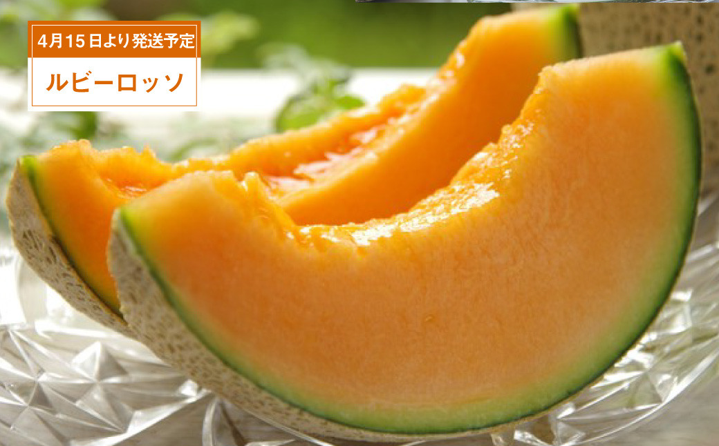 【年3回定期便】 くまもと の メロン 食べ比べ 定期便 合計5玉 