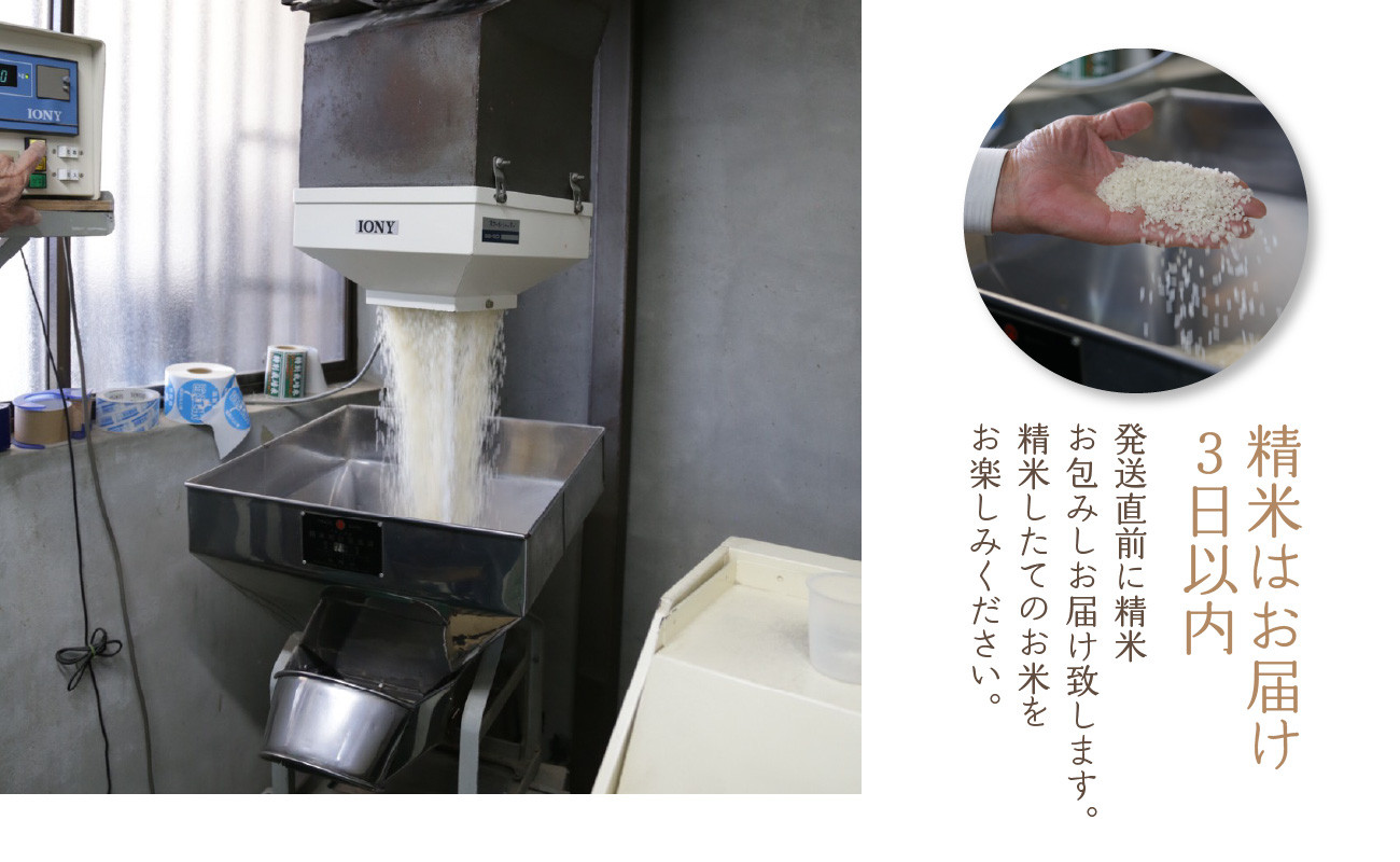 【定期便12か月】お米60kg(5kg×12回)特別栽培米