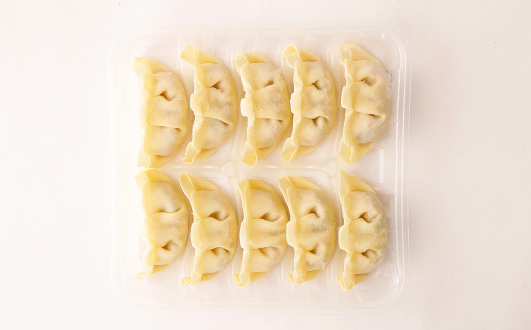 鹿児島 生ぎょうざ 120個セット(10個×12パック) 餃子のたれ付き