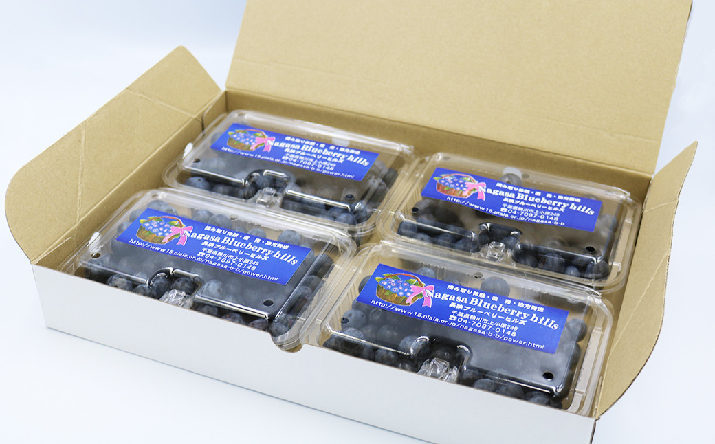 250g入り４パックをお届けいたします。