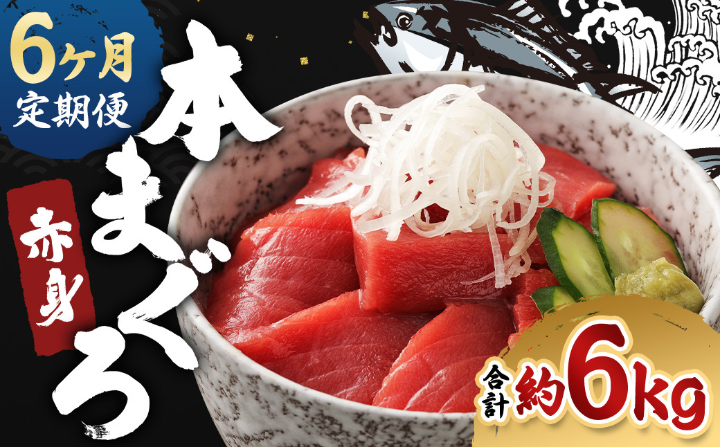 【6ヶ月定期便】長崎県産 本マグロ赤身 1kg 8人前～10人前