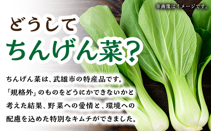 【やみつきのシャキシャキ食感】ちんげん菜キムチ 2袋セット /おかわりのうえん [UDD005] 漬物 チンゲンサイ キムチ 野