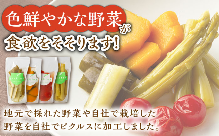 【4回定期便】季節のピクルス 4種セット /おかわりのうえん [UDD004] 漬物 加工品 惣菜 野菜 旬の野菜