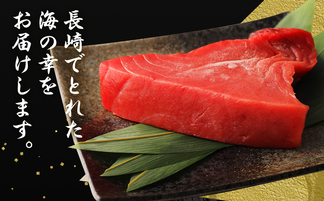【6ヶ月定期便】長崎県産 本マグロ赤身 1kg 8人前～10人前