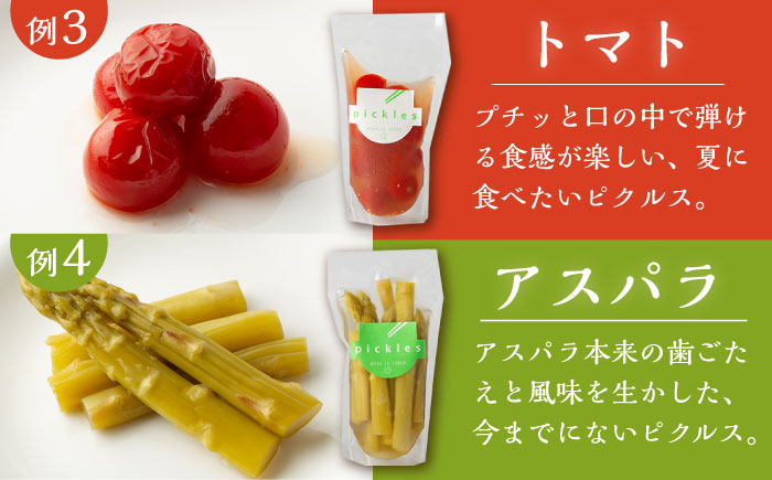 【4回定期便】季節のピクルス 4種セット /おかわりのうえん [UDD004] 漬物 加工品 惣菜 野菜 旬の野菜