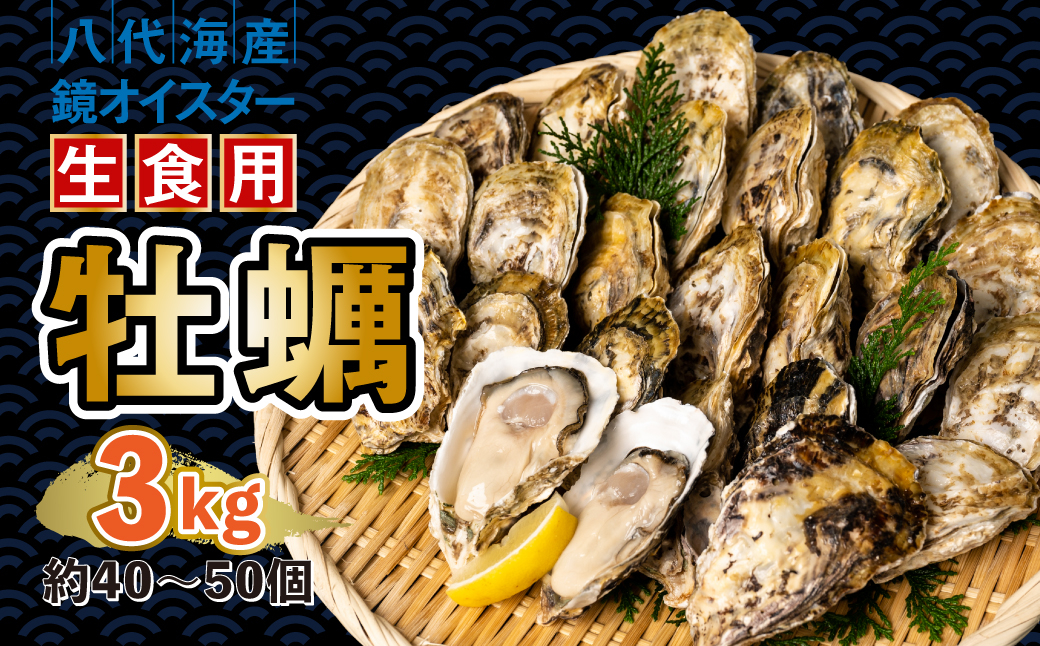 牡蠣 鏡オイスター 生食用 3kg (約40-50個)