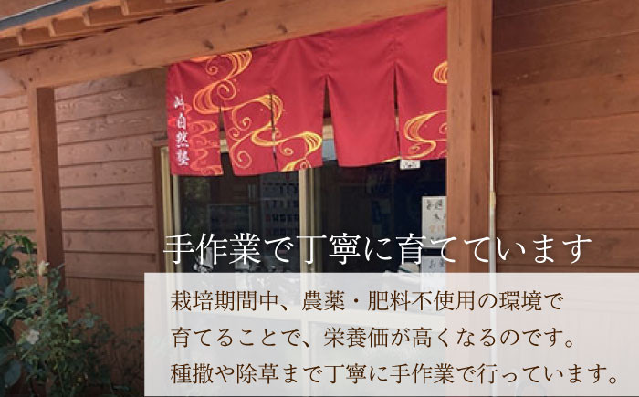 EA08 【無肥料・無農薬】 ニンニク 1kg【浅田峠自然塾】-6