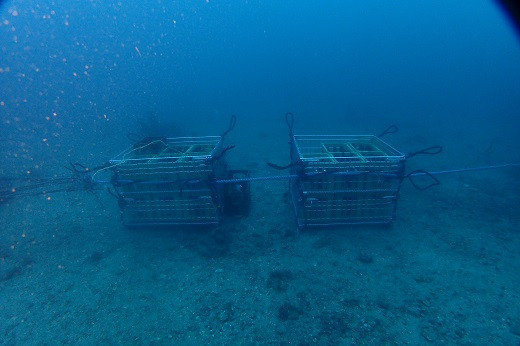 酒瓶入りのケースを固定し、半年待ちます