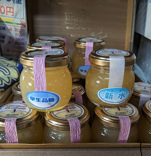 今年の２品種です。どちらか一方が同封されます。