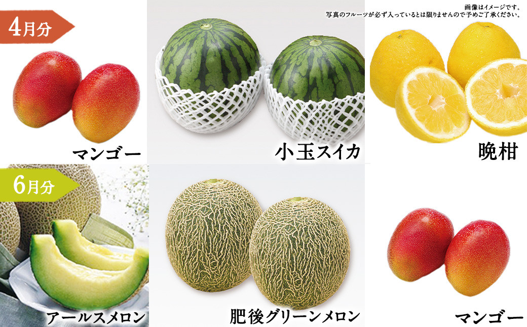 【年6回定期便】くまもと 旬のフルーツ極み 定期便 ②