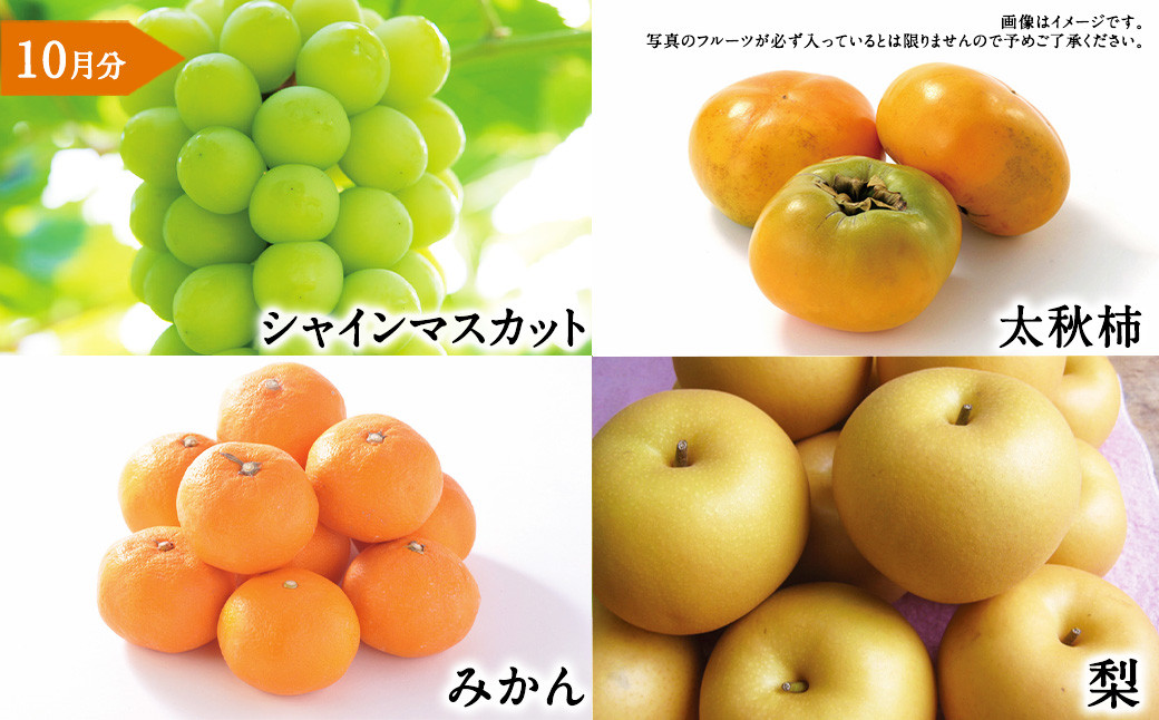 【年6回定期便】くまもと 旬のフルーツ極み 定期便 ②