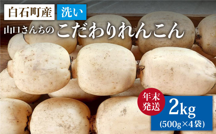 「れんこんの名産地」佐賀県白石町からお届け！