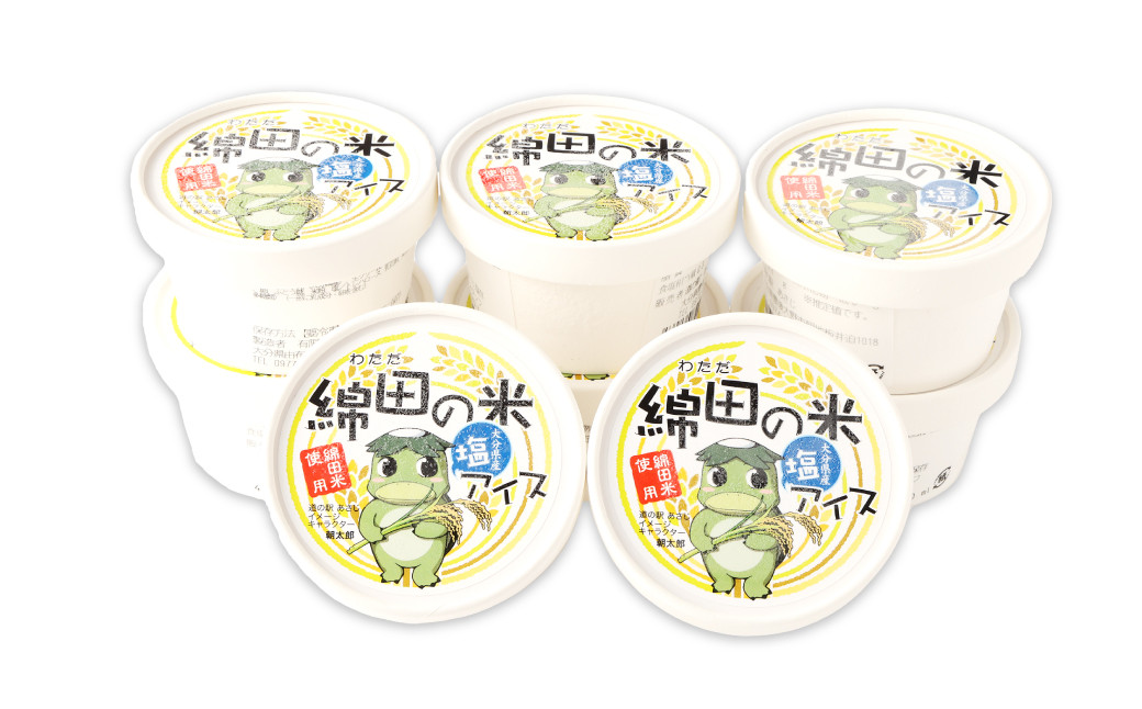 綿田の米 塩アイス 8個セット