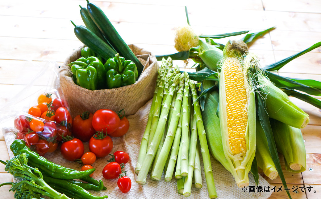 【12ヶ月定期便】おまかせ旬野菜セット