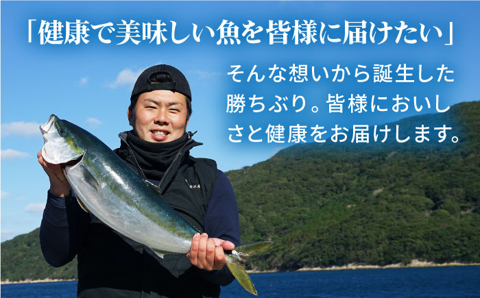 養殖 勝ちブリ 片身 フィレ / ぶり 鰤 鮮魚 海鮮 海産物 新上五島町