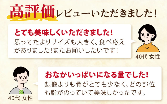 養殖 勝ちブリ 片身 フィレ / ぶり 鰤 鮮魚 海鮮 海産物 新上五島町