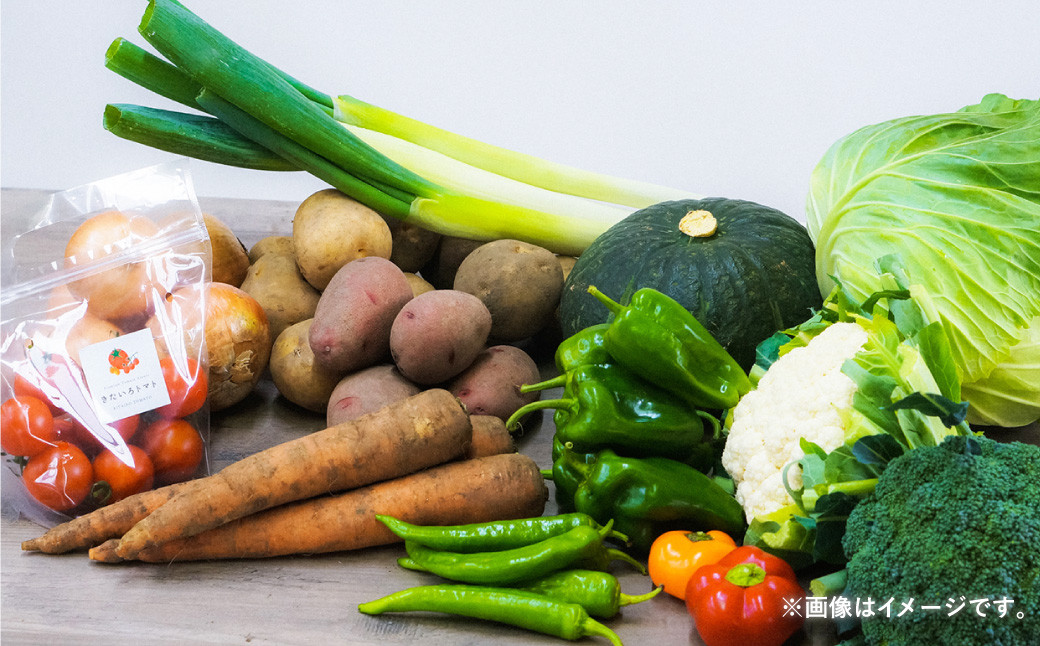【3ヶ月定期便】おまかせ旬野菜セット