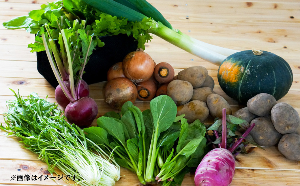 【6ヶ月定期便】おまかせ旬野菜セット