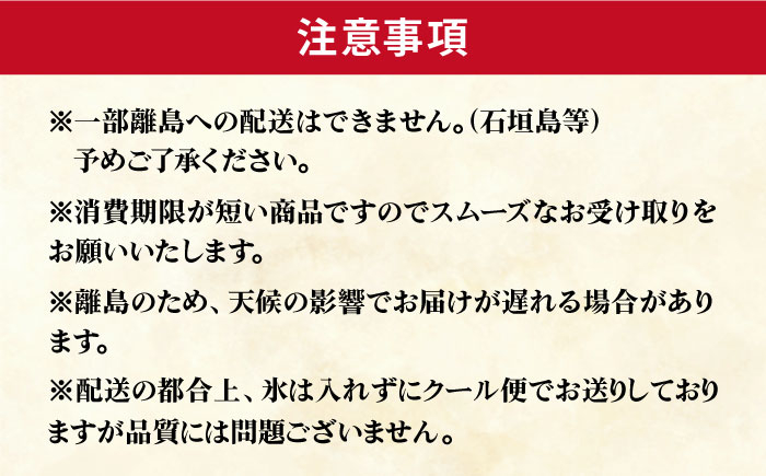 養殖 勝ちブリ フィレ 2枚 / ぶり 鰤 鮮魚 海鮮 海産物 新上五島町