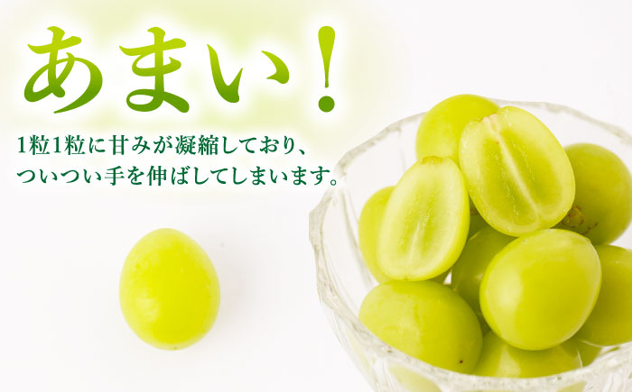 【甘くてみずみずしい】シャインマスカット 約2kg ( 3～4房 ) /菓子工房ピュアハート [UDF002]