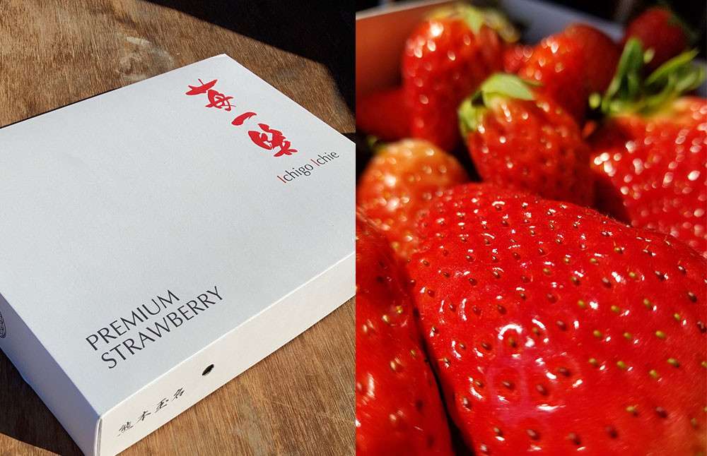 熊本県産 いちご (恋みのり)4パック 約1000g